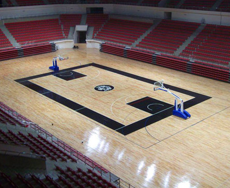 體育木地板 體育木地板